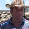 Muamer iz Bioca ima 550 ovaca, prodaje jagnjad Beogradu, ali evo zašto ne želi da napusti rodno selo