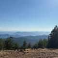 Požar na Zlatiboru zahvatio oko dva hektara niskog rastinja i borove šume