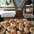 Krenulo vađenje crnog luka, navodnjavanje ga spasilo od žege: Prinos i 100 tona po hektaru, evo koliko košta