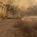 Gori istok Australije: Sedmi dan požara: Stihija zahvatila grad Tara u Kvinslendu