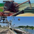 Izvoz hlebnog žita konačno raste Srpska pšenica na svetsku pijacu dobro plovi preko Konstance, smanjuju se domaće zalihe