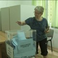 Ninamedija: Anonimnom anketom do precizno predviđenih izbornih rezultata