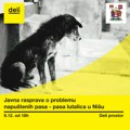 Javna rasprava: Kako rešiti problem napuštenih pasa?