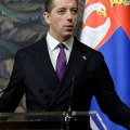 Đurić: Šefica austrijske diplomatije se grubo umešala u političke odnose u Srbiji