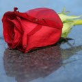 Velika tragedija kod Loznice Žena (50) se obesila kada je saznala da joj je muž preminuo