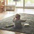 Zakon o alimentacionom fondu danas stupa na snagu