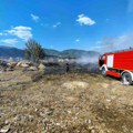 Plamen od dva metra visine širio se na sve strane Lokalizovan požar na obodu grada Vranja: Vatrogasci sprečili širenje vatre…