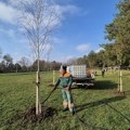 Kragujevac: Posađene nove sadnice oko stadiona Čika Dača