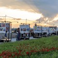 Ilustrofest na nekoliko dana pretvara Kalemegdan u najlepši kreativni kutak u gradu
