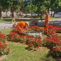 JKP „Mediana“ nastavlja uređenje grada: Košenje, čišćenje i održavanje zelenih površina na više lokacija u Nišu