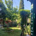 Izabrana najlepša dvorišta na teritoriji Užica