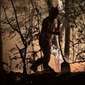 Четврти дан пожара код Врања: Ватра из Лукова се шири према другим селима