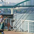 Objavljene cene ribolovnih dozvola za 2027. godinu: Dnevna će koštati 1.300 dinara