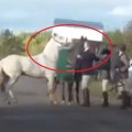 Nastavnica koja je tukla konja pred sudom Pušten je i snimak kao ključni dokaz