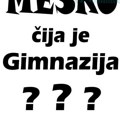 Nastavnik računarstva i informatike pita gradonačelnika “Mesko, čija je Gimnazija?”