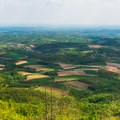 Kilogram 450 dinara! Gorštaci pronašli način za zaradu, više se isplati od maline