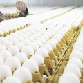 U Nemačkoj uskoro u prodaji samo bela jaja