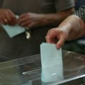 Novi Sad: Dve strane organizacije i dve domaće posmatraju izbore