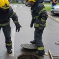 Najlepša vest dana: Vatrogasci i stanari u Petrovaradinu zajedno spasili Žujku iz cevi, cele noći zavijala