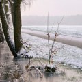 Šetnja momka i devojke iznenada se pretvorila u borbu za opstanak: Kada je počela da zapomaže, svima je bilo jasno šta se…