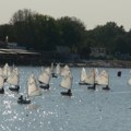 Ponos i sećanje na pilota radosavljevića: Memorijalna "Zokijeva regata" jedriličara oživljava duh sporta i hrabrosti