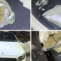 Pas otkrio veliku zaplenu na Horgošu