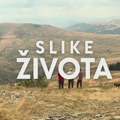 Slike života, nedelja u 15.15h: Resursi na izvol’te