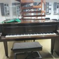Muzika je put do sreće