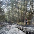 (Foto) Bukti veliki požar na granici Srbije i Crne Gore, vatrogasci se jedva probijaju, temperatura je paklena, a jedna stvar…