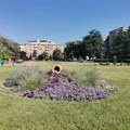 Kragujevac: Više novca iz budžeta za RTK, Šumadija sajam, BIC, SPD Radnički...
