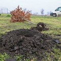 "Park na vodozahvatu u Kikindi’’ nagrađen na salonu pejzažne arhitukture u Beogradu