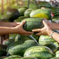Neverovatno ali istinito Pogledajte genijalan način na koji Crnogorci prodaju lubenice, poruka do suza nasmejala Balkan! (foto)…