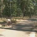 Dok se asfalt topi na blizu 40 stepeni u Beogradu, ekipa N1 u Zvezdarskoj šumi: Svežije, ali zapušteno