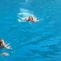 Letovale u Grčkoj, pa bežale iz mora kad je provirila njuška: Skočile iz vode ko oparene kad su videle ko je tu