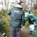 Kompanija WMG (Wireless Media Group) podržala inicijativu „Spasi svoju jelku“ i sadnju jelki vraćenih nakon praznika