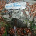Šta nam govori otkriće izuzetno retke alge u Srbiji