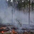 Veliki šumski požar u Černobilju