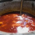 Tradicionalna manifestacija ribolovaca i majstora u pripremanju ribljih čorbi danas na Savi, u blizini Beogradskog sajma