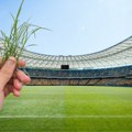 FIFA prodaje travu sa terena finala Mundijala za 450 dolara po komadu