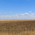 Klimatske promene utiču na proizvodnju hrane u Evropi. Suša i vrućina iskoreniće će neke poljoprivredne kulture.
