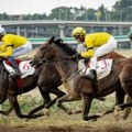 Trka za Pehar predsednika: U nedelju na Hipodromu galopski trkački dan, prijavljeno više od 80 konja