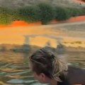 (Video) Pas pao s Brankovog mosta u Savu, a onda su se pojavile dve devojke! Čamcem u punoj brzini krenule ka bespomoćnoj…