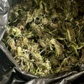Zaplena u okolini Čačka: Policija upala u štek i pronašla kilograme droge i vagice