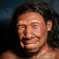 Kosti pronađene u pećini u Nemačkoj menjaju sve što smo znali o suživotu ljudi i neandertalaca