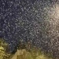 Veje sneg u Hrvatskoj: Građani šokirani prozorom: "Kao da je Božić" (video)
