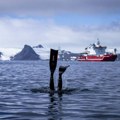 Antarktik – negostoljubiv, ali bogat prirodnim resursima
