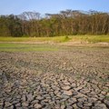Temperature u maju na istorijskom nivou, zabeležene izražene suše: Evropi preti veliki problem