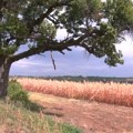 Podsticaj za ruralne krajeve