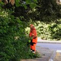 Ekipe „Mediane“ danas na terenu: Košenje, čišćenje i orezivanje drvoreda na više lokacija