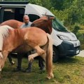 Никола је са супругом продао кућу и земљу и преселио се у кампер! После 100 дана открио "велику лаж" о животу на путу: "Први…